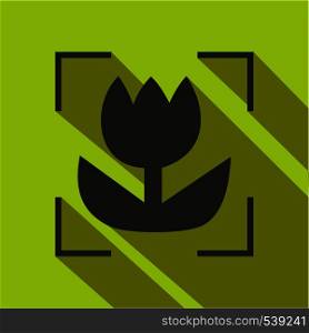 Focus icon in flat style on light green background. Focus camera symbol with flower. Focus icon, flat style