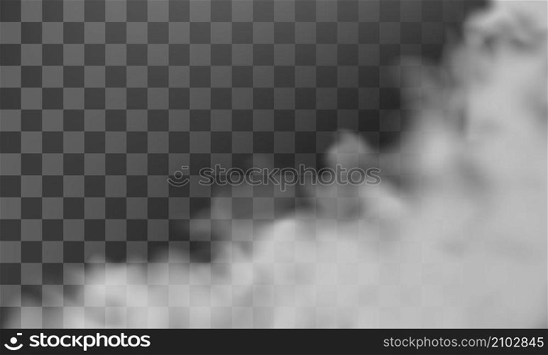 Fog or smoke group isolated on transparent background. Vector illustration