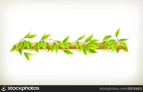 Foliage banner, vector