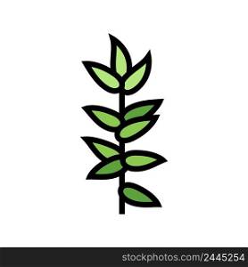 foliage branch color icon vector. foliage branch sign. isolated symbol illustration. foliage branch color icon vector illustration