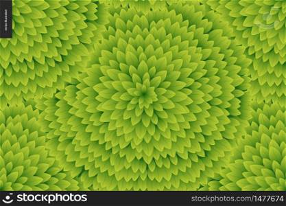 Foliage seamless pattern. Green leaf seamless vector catroon hand drawn pattern. Foliage seamless pattern