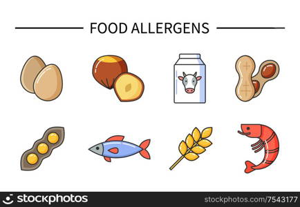 Food allergens, products causing illness and diseases vector. Allergy reasons, raw eggs and nuts, cow milk and beans with peas, wheat and fish shrimps. Food Allergens, Products Causing Illness Diseases