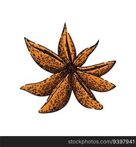 food anise star hand drawn. spice ingredient, chinese condiment, herb seed food anise star vector sketch. isolated color illustration. food anise star sketch hand drawn vector