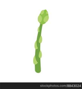 Food asparagus icon flat vector. Vegetable plant. Organic raw isolated. Food asparagus icon flat vector. Vegetable plant