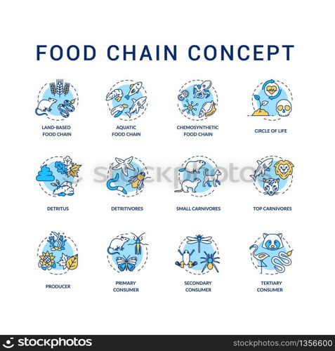 Food chain concept icons set. Primary, secondary and tertiary consumers. Small and top carnivores. Life cycle idea thin line RGB color illustrations. Vector isolated outline drawings. Editable stroke