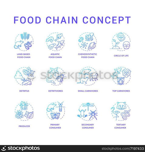 Food chain concept icons set. Primary, secondary and tertiary consumers ... Biology Diagrams