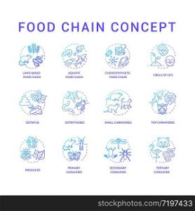 Food chain concept icons set. Primary, secondary and tertiary consumers. Small and top carnivores. Life cycle idea thin line RGB color illustrations. Vector isolated outline drawings