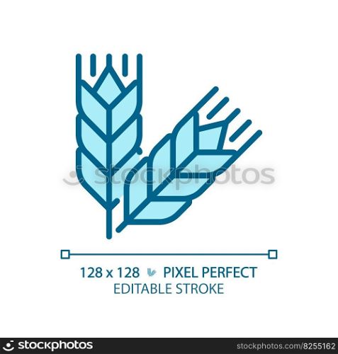 Food grains pixel perfect blue RGB color icon. Oat meal. Wheat harvesting. Cereal crops. Agricultural commodity. Isolated vector illustration. Simple filled line drawing. Editable stroke. Food grains pixel perfect blue RGB color icon