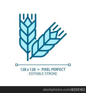 Food grains pixel perfect blue RGB color icon. Oat meal. Wheat harvesting. Cereal crops. Agricultural commodity. Isolated vector illustration. Simple filled line drawing. Editable stroke. Food grains pixel perfect blue RGB color icon