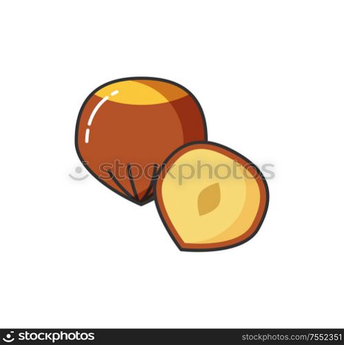 Food icon vector nuts whole and half. Hazel symbol collection nutmeg sign. Vector. Graphic Nuts Illustration Symbol Vector Isolated
