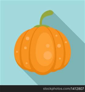 Food pumpkin icon. Flat illustration of food pumpkin vector icon for web design. Food pumpkin icon, flat style