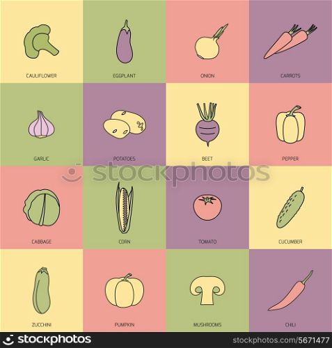 Food vegetables flat line set of cauliflower onion carrot isolated vector illustration