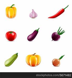 Food vegetables realistic set of paprika garlic chili isolated vector illustration.
