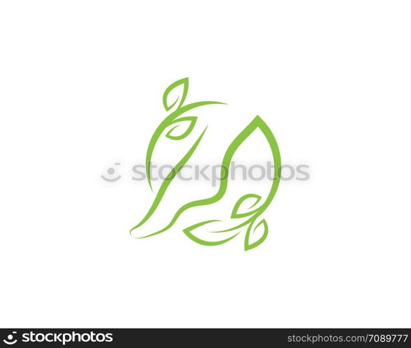 foot Logo Template vector icon illustration design