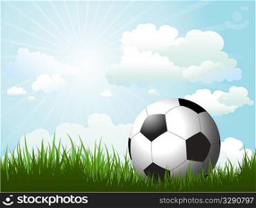 Football in grass against a sunny sky