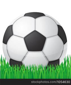 football soccer ball in grass vector illustration isolated on white background