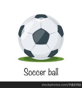 Football, soccer sports game ball, vector
