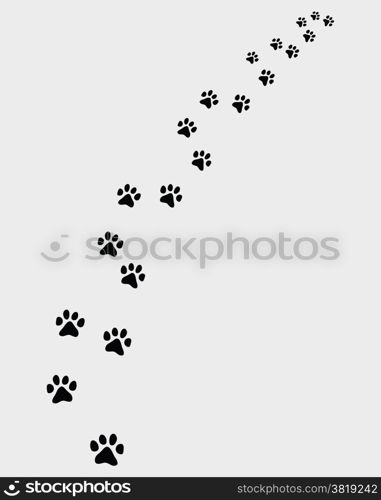 Footprints of cat