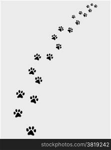 Footprints of cat