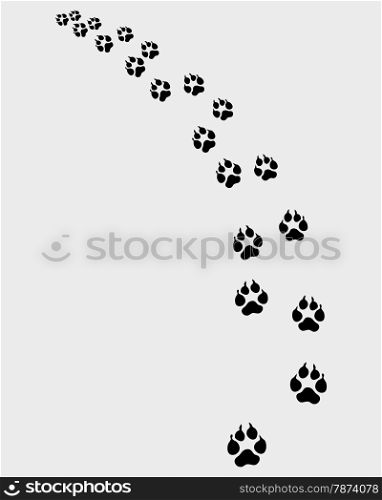 Footprints of dog