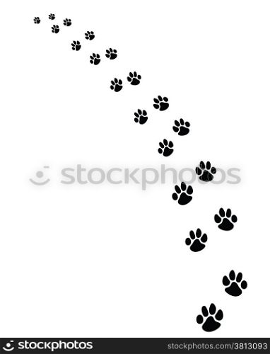 footprints of dogs