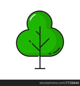 Forest and garden decor element, green exotic tree isolated outline icon. Vector spring or summer forest tree, park or garden scenery line art. Environment protection landscape architecture object. Green tree forest object isolated thin line icon