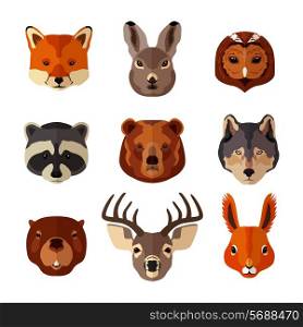 Forest animal portrait flat icons set with fox hare owl isolated vector illustration