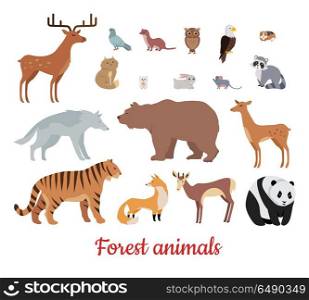 Forest Animals Set. Forest animals set. Deer, bear, wolf, tiger, fox, panda, raccoon, rabbit, owl mouse eagle weasel roe deer chipmunk isolated on white background Wildlife character