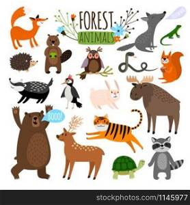 Forest animals. Woodland cute animal set drawing vector illustration like moose or deer and raccoon, fox and bear isolated on white. Forest animals set