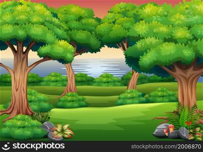 Forest background with the nature scene