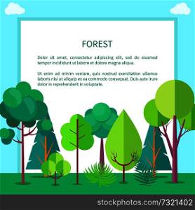 Forest banner with different trees and bushes growing on green grass, vector illustration of ecologically clean zone with wood. Forest Vector Web Banner with Trees and Bushes
