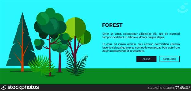 Forest banner with green different trees and bushes, deforestation concept. Environmentally safe nature with plants and foliage on green lawn. Forest Vector Web Banner with Trees and Bushes