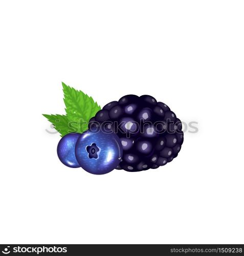 Forest berries, organic dessert realistic vector illustration. Natural food, fresh vegetarian nutrition. Blueberry and blackberry with green leaves 3d isolated object on white background. Forest berries, organic dessert realistic vector illustration