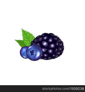 Forest berries, organic dessert realistic vector illustration. Natural food, fresh vegetarian nutrition. Blueberry and blackberry with green leaves 3d isolated object on white background. Forest berries, organic dessert realistic vector illustration
