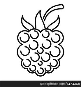 Forest blackberry icon. Outline forest blackberry vector icon for web design isolated on white background. Forest blackberry icon, outline style
