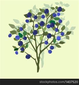 Forest blueberry berries and leaves, vector illustration