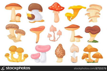 Forest ceps. Cartoon oyster mushrooms, autumn harvesting mushroom, wild amanita, tasty shiitake boletus edible growing fungus vegetarian food vector illustration. Edible forest organic mushroom. Forest ceps. Cartoon oyster mushrooms, autumn harvesting mushroom, wild amanita, tasty shiitake cep boletus different edible growing fungus vegetarian food neat vector illustration