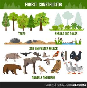 Forest Constructor Poster. Forest constructor poster with trees shrubs and grass animals and birds source packs flat isolated vector illustration