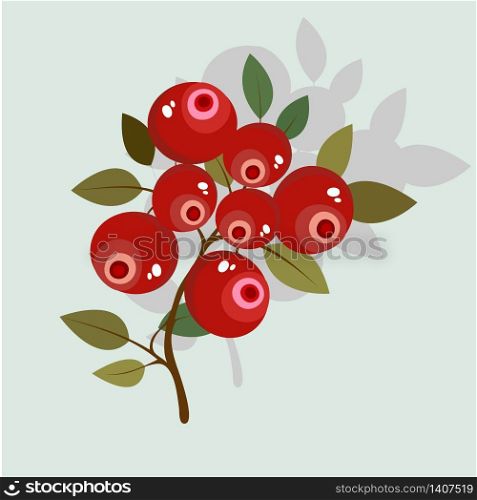 Forest cranberry berries and leaves, vector illustration