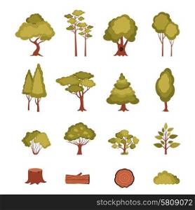 Forest elements set with trees bushes plants log and stump isolated vector illustration. Forest Elements Set