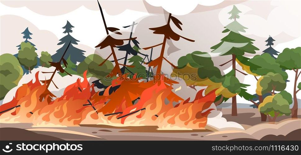 Forest fire. Burning spruces and oak trees, wood plants in flame and smoke, nature disaster cartoon illustration. Vector poster flame in nature outdoor, save environment from burn woods. Forest fire. Burning spruces and oak trees, wood plants in flame and smoke, nature disaster cartoon illustration. Vector poster