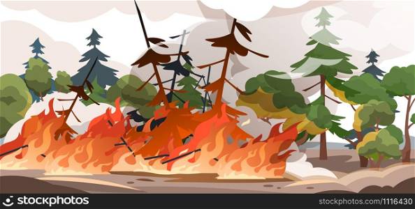 Forest fire. Burning spruces and oak trees, wood plants in flame and smoke, nature disaster cartoon illustration. Vector poster flame in nature outdoor, save environment from burn woods. Forest fire. Burning spruces and oak trees, wood plants in flame and smoke, nature disaster cartoon illustration. Vector poster