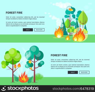 Forest Fire Set of Cartoon Posters with Text. Forest fire set of cartoon posters with inscriptions. Vector illustration of raging wildfire that has engulfed lush trees, bushes and grass