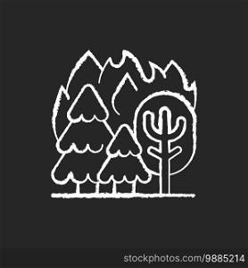 Forest fires chalk white icon on black background. Uncontrolled fire in huge area covered with trees. Damaging large ecosystems. Air pollution. Isolated vector chalkboard illustration. Forest fires chalk white icon on black background