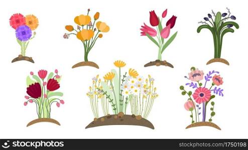 Forest flowers garden. Spring floral planting, simple gardening. Blossom fields, isolated bouquets growing. Springtime plants vector set. Illustration early blossom flower, foliage decoration botany. Forest flowers garden. Spring floral planting, simple gardening. Blossom fields, isolated bouquets growing. Springtime plants vector set