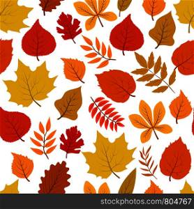 Forest golden autumn leaves seamless vector autumnal pattern. Background natural golden foliage, nature leaf illustration. Forest golden autumn leaves seamless vector autumnal pattern