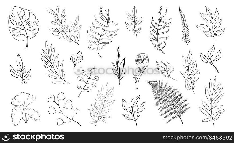 Forest herbs and leaves and tropical flowers big set. Linear simple icons of plant botanical patterns