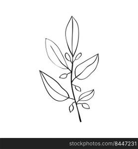 Forest herbs, leaves and twigs of plants. Botanical collection of herbal patterns and leaves