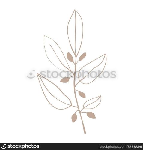 Forest herbs simple linear icon. Plants are drawn with a line.