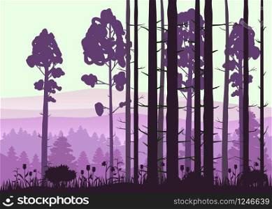 Forest landscape minimalistic illustration. Pines trees silhouettes. Nature scene.. Forest landscape minimalistic illustration. Pines trees silhouettes. Nature scene. Realistic color background with silhouettes, trees, pine, fir, nature, hills, grass and flowers, environment, horizon, panorama . Fog forest morning or evening. Vector backdrop, illustration, isolated